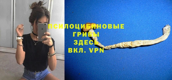 мяу мяу мука Армянск