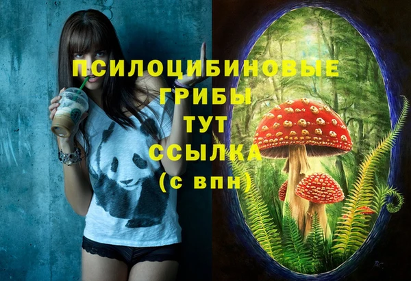 прущий лед Аркадак