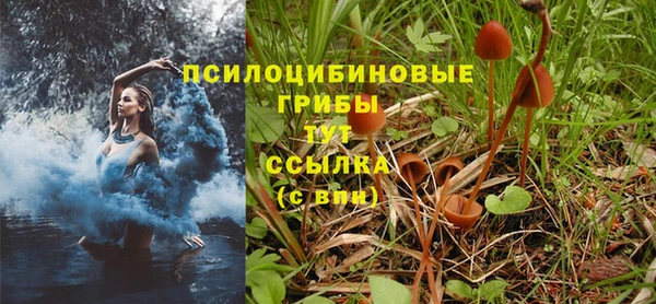 прущий лед Аркадак