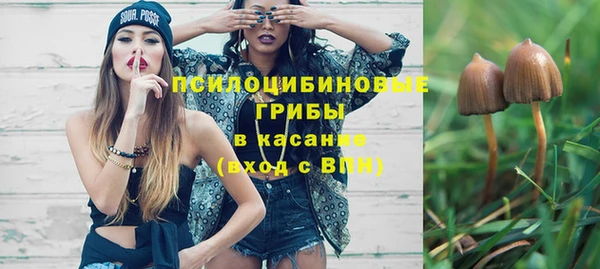 прущий лед Аркадак
