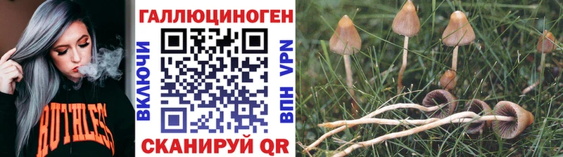 shop состав  Уржум  Псилоцибиновые грибы прущие грибы 